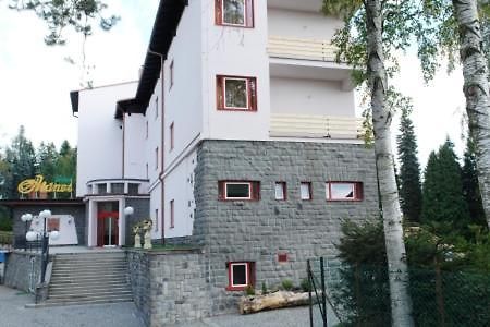 Hotel Manes Svratka Luaran gambar