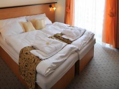 Hotel Manes Svratka Luaran gambar